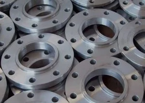 flanges-ss
